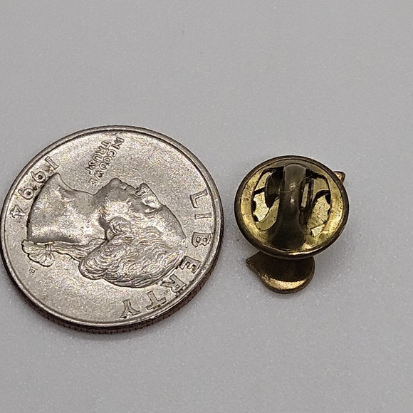 Boy Scouts Webelos Naturalist Pin red on gold vintage - Picture 3 of 3